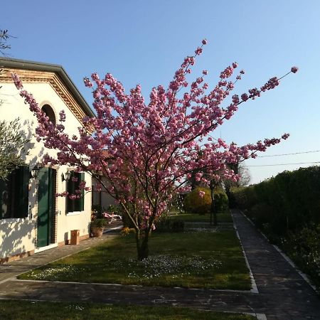 Casa Pianta Hotel Cavallino-Treporti Luaran gambar