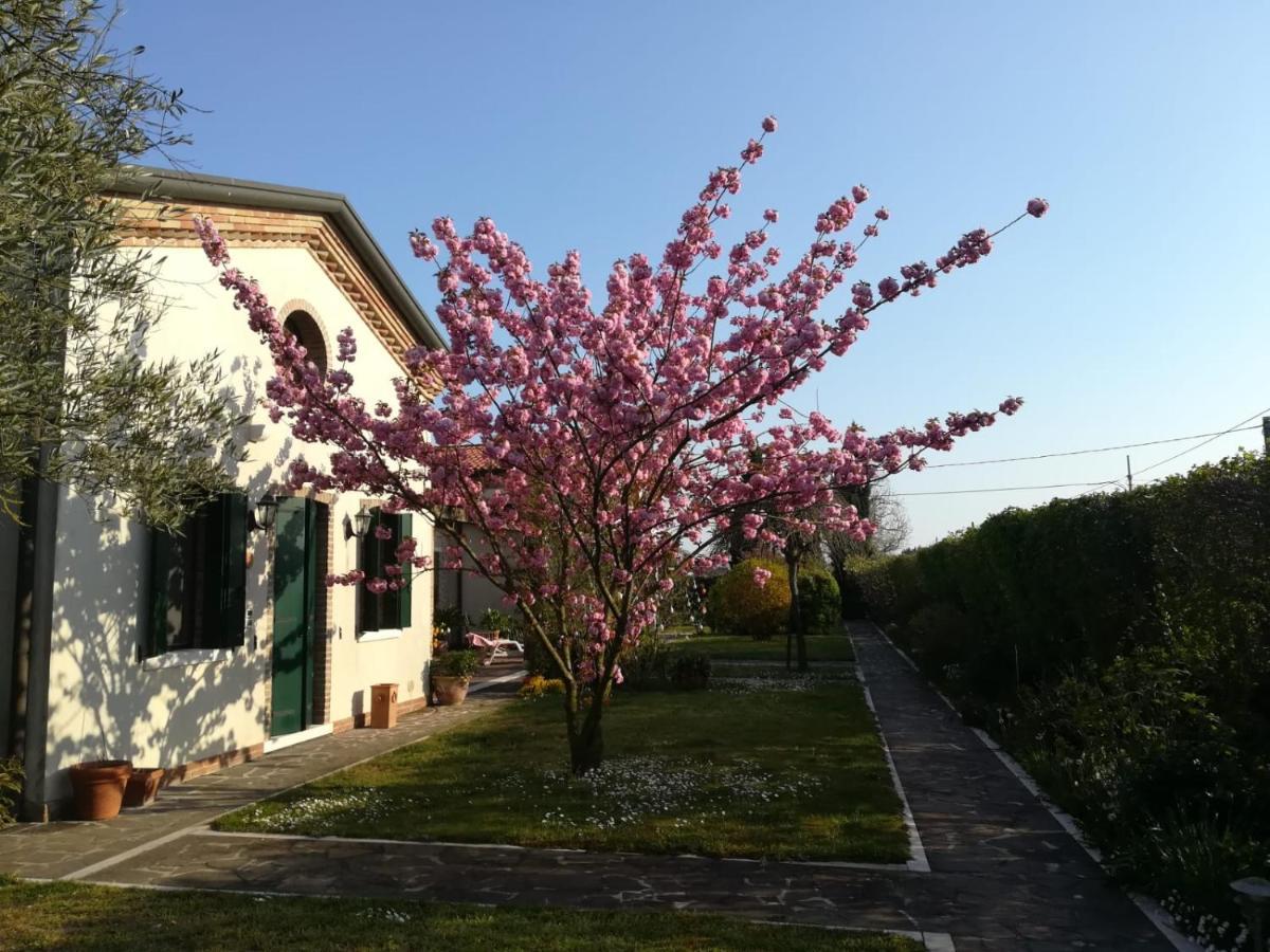 Casa Pianta Hotel Cavallino-Treporti Luaran gambar
