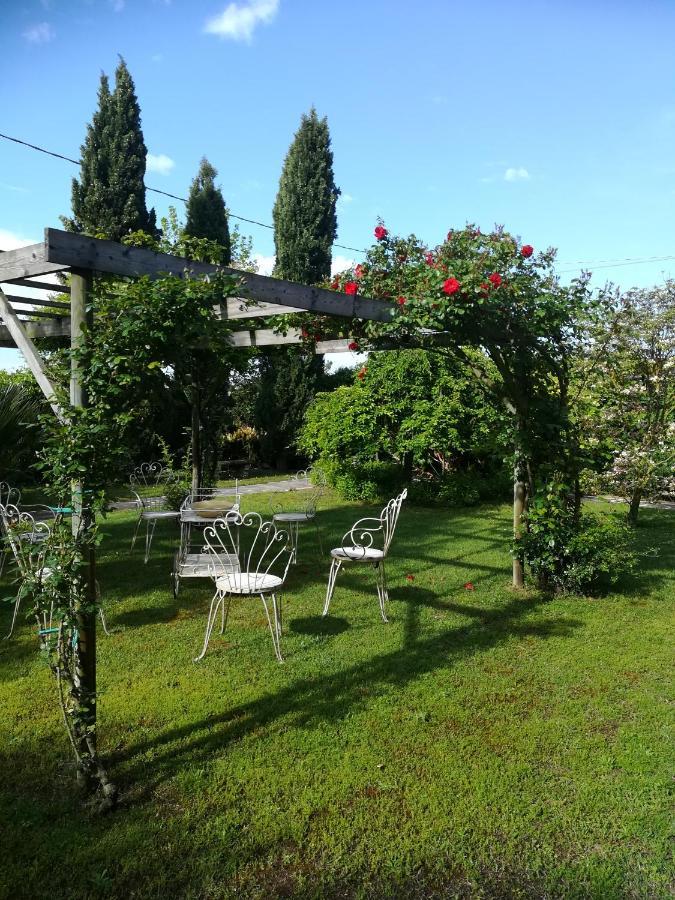 Casa Pianta Hotel Cavallino-Treporti Luaran gambar
