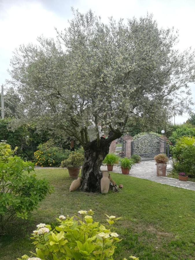 Casa Pianta Hotel Cavallino-Treporti Luaran gambar